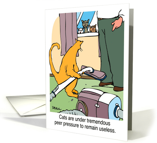 Get Well And Get The Cat To Do With The House Chores card (440580)