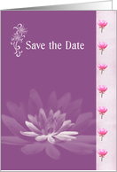 Save the Date card with Lotus flowers card