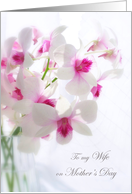 Mother’s day. Wife - white orchids card