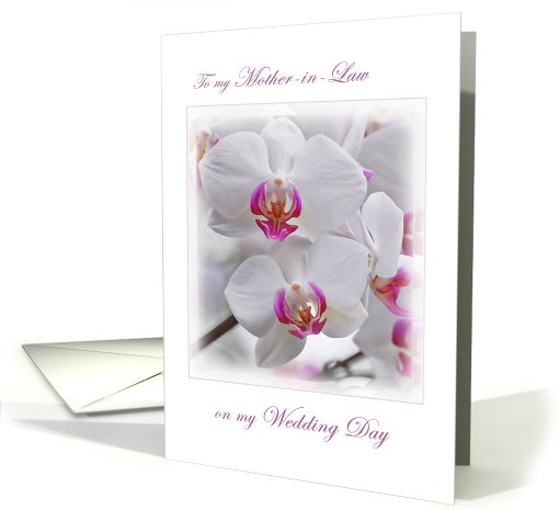 Mother-in-Law. Thank you for the wedding. White Orchid. card (608243)