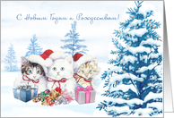 Russian New Year and Christmas card with kittens, trees and presents card