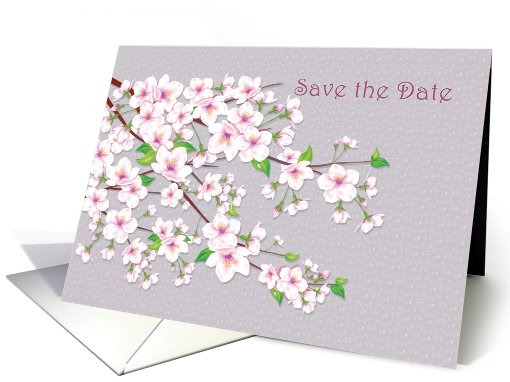 Save the date, Wedding Anniversary - Cherry blossom Sakura card