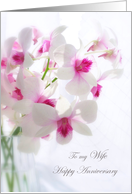Wedding Anniversary card for Wife - white orchids card