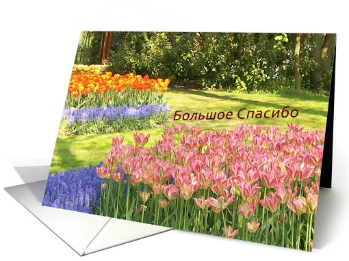 Russian Thank you card with tulips. card (798068)