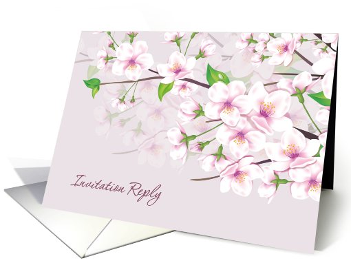 Invitation Reply, RSVP - Cherry Blossom (Sakura) card (813938)