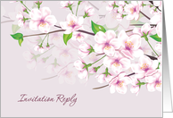 Invitation Reply, RSVP - Cherry Blossom (Sakura) card