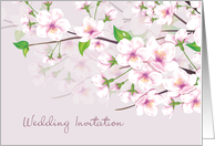 Wedding Invitation - Cherry Blossom (Sakura) card