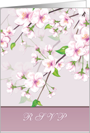 Invitation Reply, RSVP - Cherry Blossom (Sakura) card