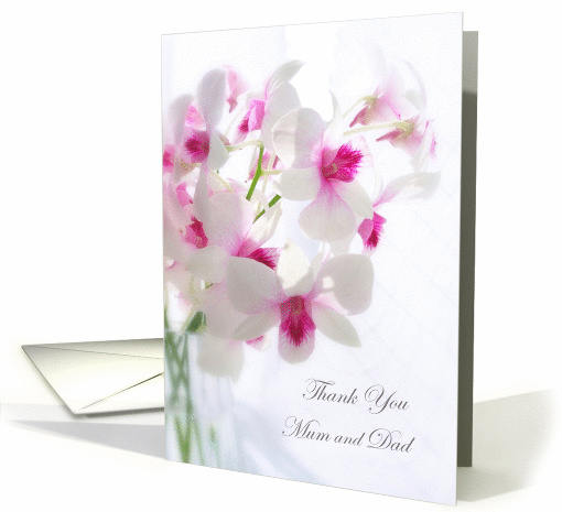 Wedding Thank you Mum and Dad - White Orchids card (951202)