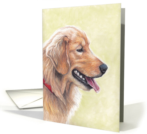 Golden Retriever Birthday card (1035163)