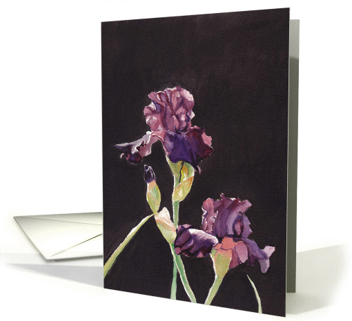 Purple Iris Birthday card (1259686)