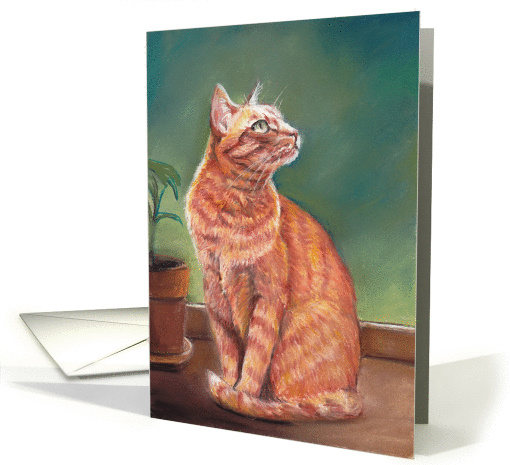 Cat in the Window Birthday card (1286098)