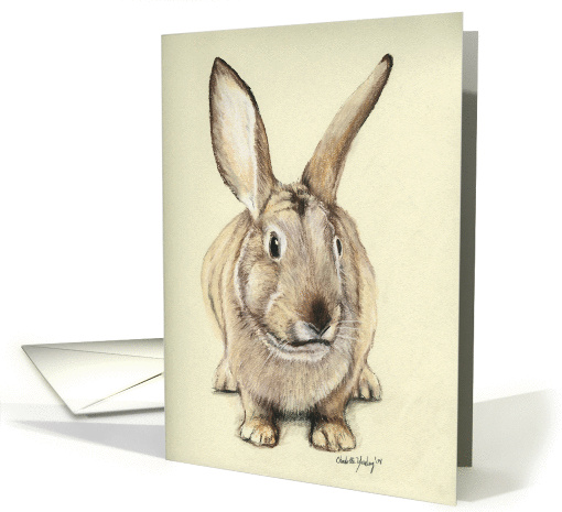 Bunny card (369086)