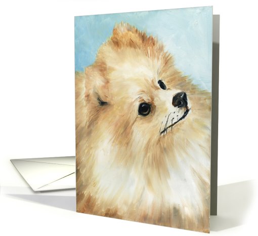 Pomeranian All Occasion card (460579)