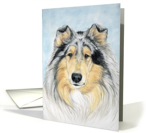 Collie All Occassion card (470771)