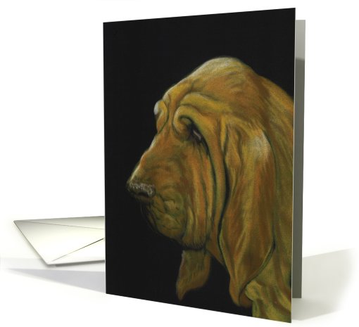 Birthday Bloodhound card (471675)
