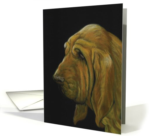 Friendship Bloodhound Blank card (471680)