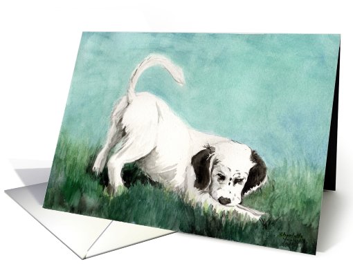 Charlotte announcement English Setter Pup card (490524)