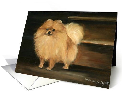 Charlotte Birthday Pomeranian card (490561)