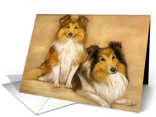 Birthday Shelties card (490935)