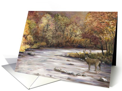 Festival of Colors Fall Whitetail Deer card (510127)