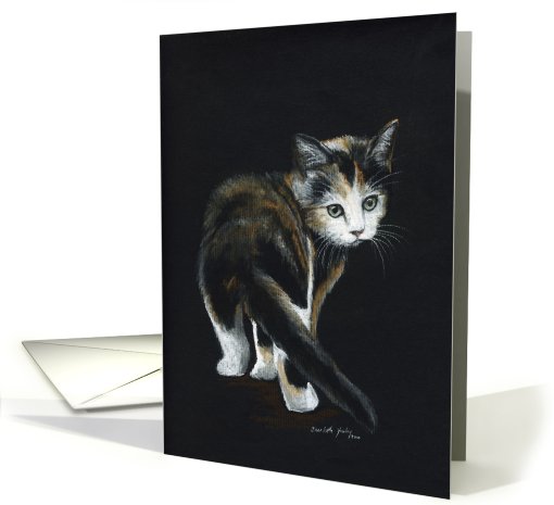 Calico Kitten Apology card (552993)