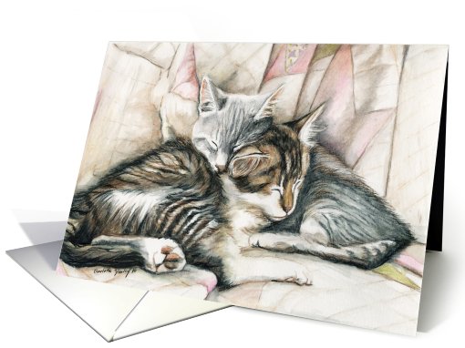 Sleeping Kittens Friendship card (582023)