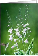 hummingbird and Hosta card