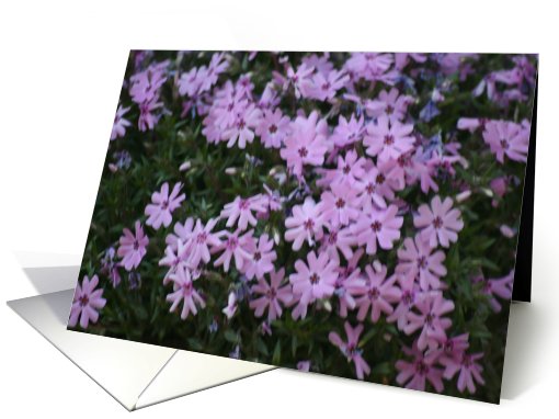 Flower Friendship card (587699)