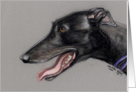 Greyhound Birthday card