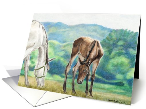 Birthday, Horse Mare Foal card (598907)