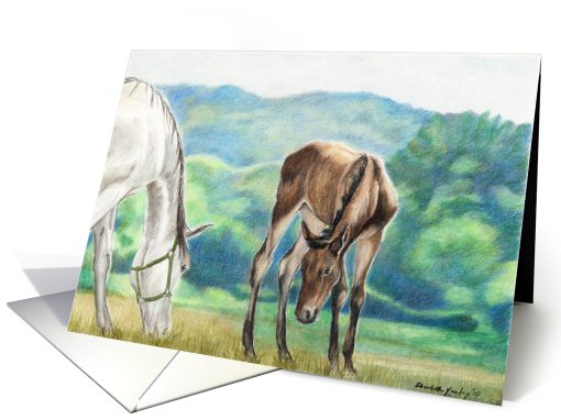 Congratulations, Horse Mare Foal card (598909)