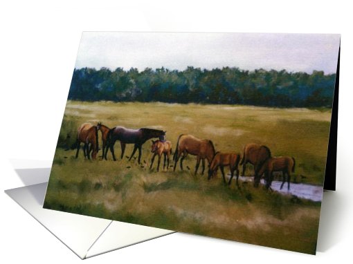 Horses Mares and Foals Birthday card (599282)