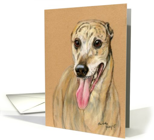 Greyhound Birthday card (599823)