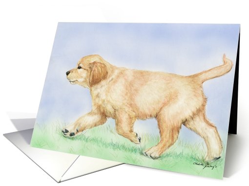 Golden Retriever puppy Birthday card (794614)
