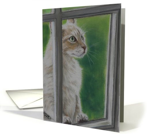 Let Me In, Cat Birthday card (831170)