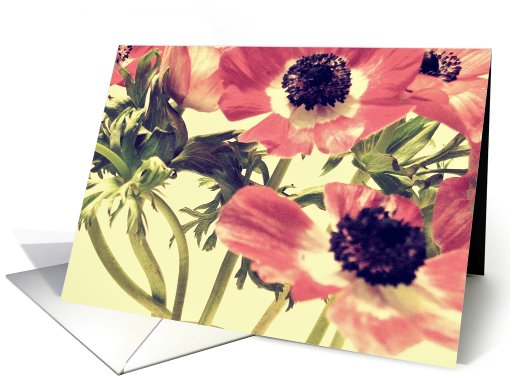 Thank You Red flowers close up card (709277)