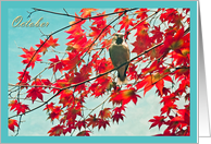 Happy Birthday born in October, birthday month bird red autumn leaves photography card