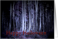 Happy Halloween, freaky scary woods at night, photography card
