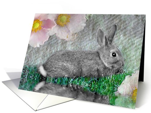 Selective Coloring Bunny card (495545)