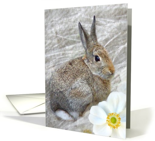 Cuddle Bunny card (501300)