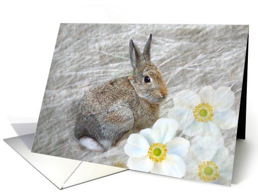 Cuddle Bunny II - Horizontal card (501420)