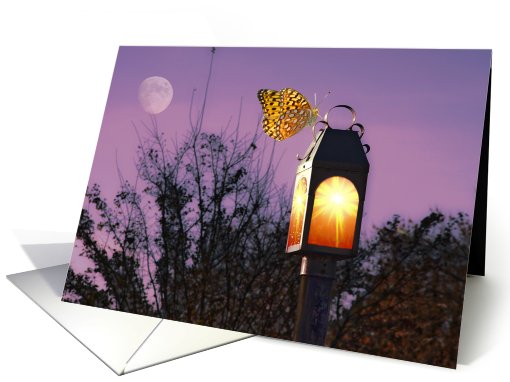 Attracted to the Light card (502522)