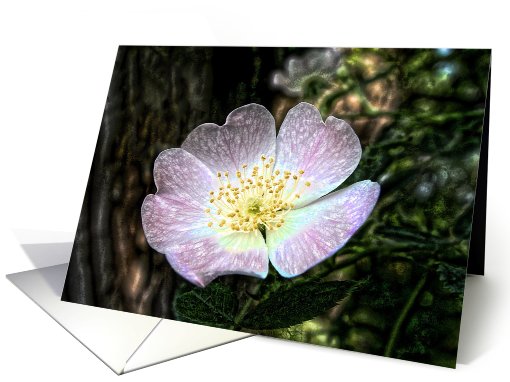 Delicate Woodrose card (503058)