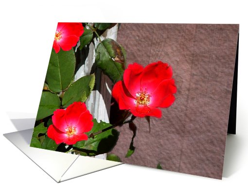 Roses on the Trellis card (503094)