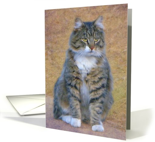 Fluffy Kitty Portrait card (602297)