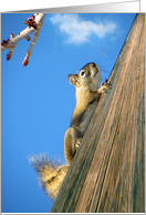 Cute Climbing Squirrel card