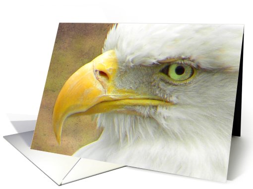 Pretty Eagle Profile card (603331)