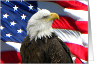 Eagle with Old Glory card