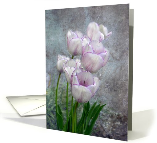 Purple and White Tulips card (631091)